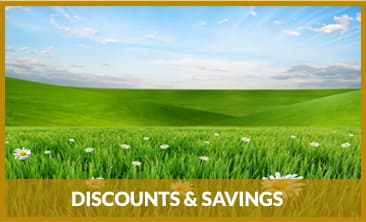 Discounts & Savings